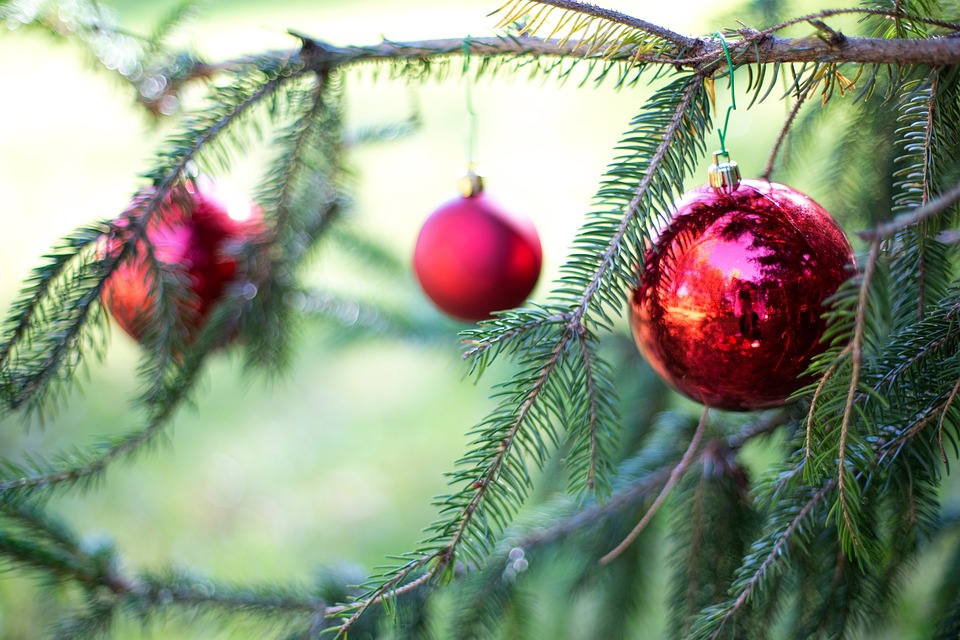 Photo for article 'Top Etiquette Tips for Christmas Guests'