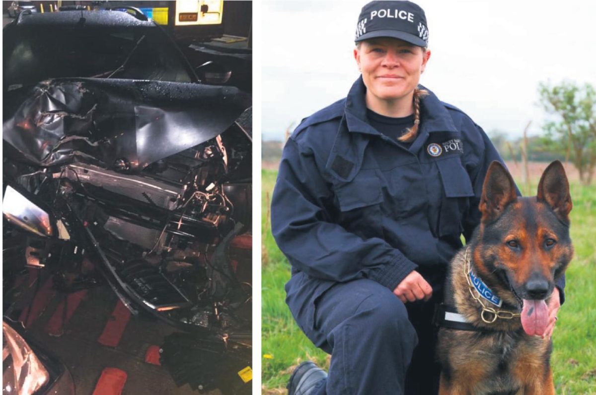 Worcestershire officer saved by her police dog repaid the favour nursing him back to health after pursuit crash