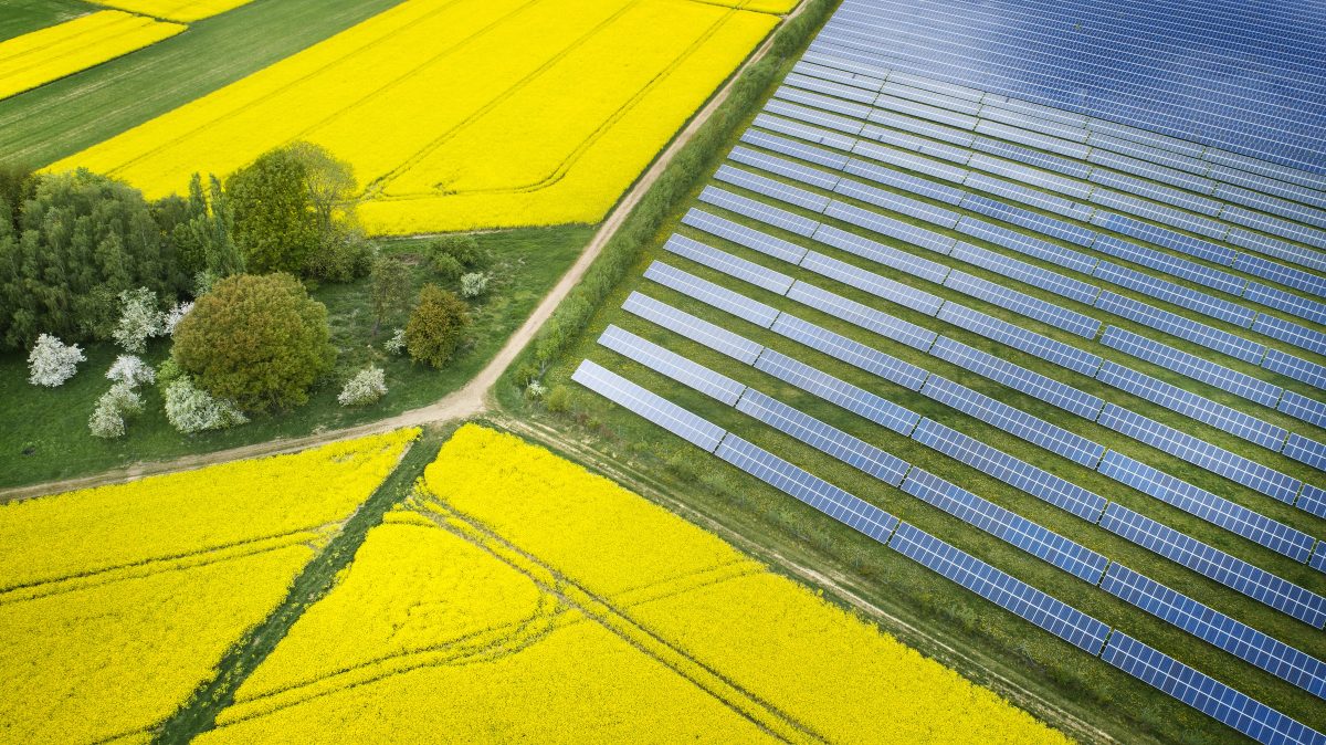 Have your say on plans for new Hampton Lovett solar farm 