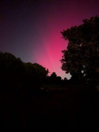 Bullivant Media